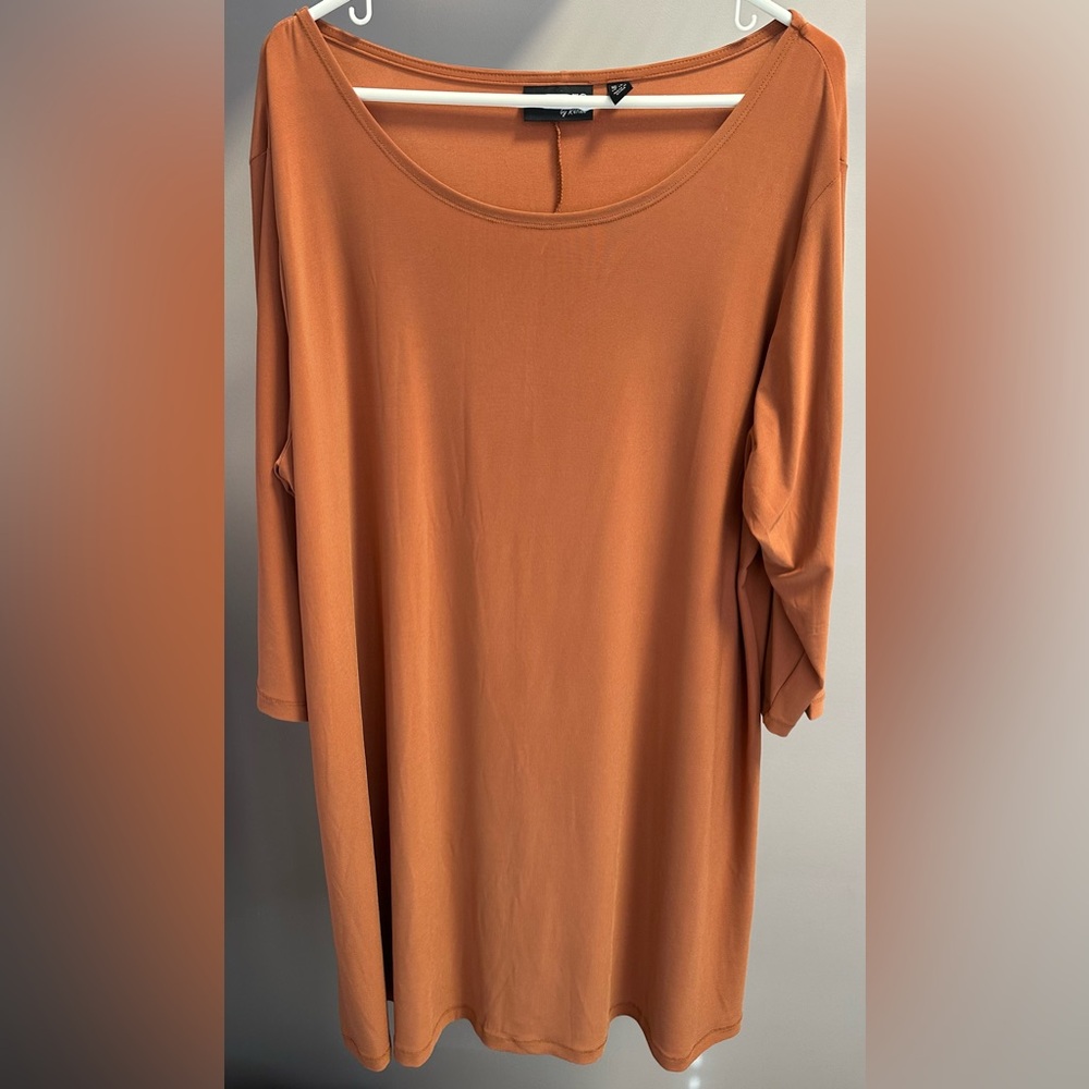 ATTITUDES by Renee size 2XP, rust, 3/4 length sleeved, round neckline dress.